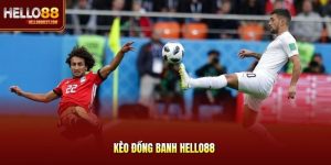 Kèo Đồng Banh Hello88 - Tỷ Lệ 0, Thắng Thua Phân Định Rõ