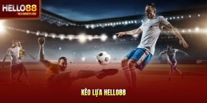 Kèo Lựa Hello88 - Đọc Tỷ Lệ, Chọn Cửa Sáng Cực Nhanh
