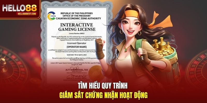 Tìm hiểu quy trình giám sát chứng nhận hoạt động